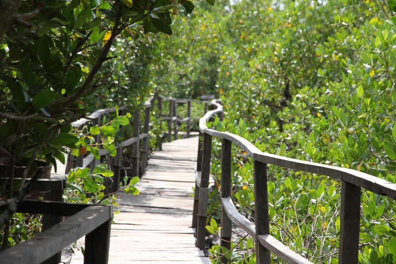 Bintang Bolong Lodge Luaran gambar
