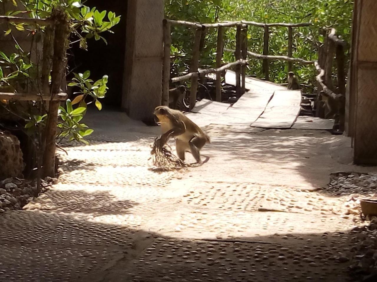 Bintang Bolong Lodge Luaran gambar